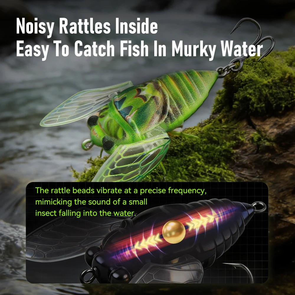Kingdom Cicada Fishing Lure Set 3 Pcs Topwater Crankbait