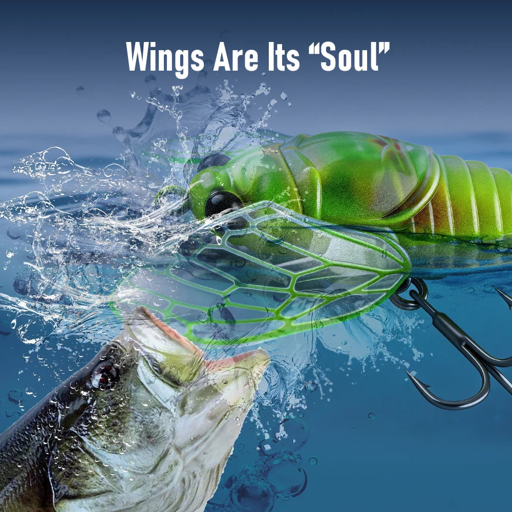 Kingdom Cicada Fishing Lure Set 3 Pcs Topwater Crankbait